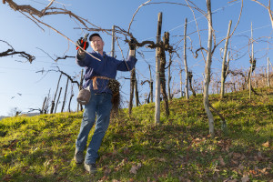 Prosecco-DOCG-Valdobbiadene