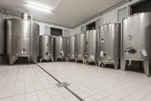 Prosecco-DOCG