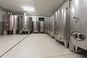 Prosecco-DOCG-Valdobbiadene