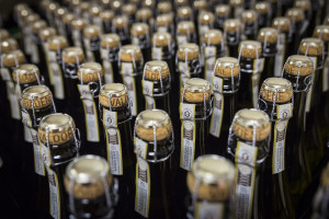 Prosecco-DOCG-Valdobbiadene