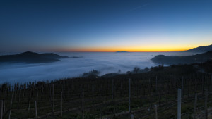 Prosecco-DOCG-Valdobbiadene