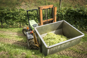 Prosecco-DOCG-Valdobbiadene