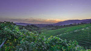 Prosecco-DOCG-Valdobbiadene