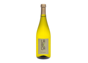 Prosecco-DOCG-Valdobbiadene