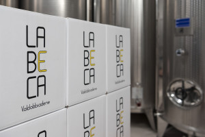 Prosecco-DOCG-Valdobbiadene