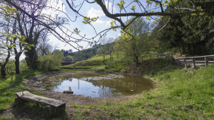 Agriturismo-Valdobbiadene