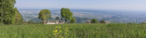 Agriturismo-Valdobbiadene