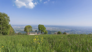 Agriturismo-Valdobbiadene
