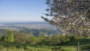 Agriturismo-Valdobbiadene