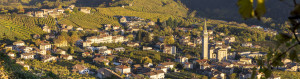 Prosecco-DOCG-Valdobbiadene