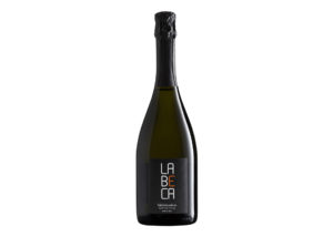 Prosecco Valdobbiadene docg spumante