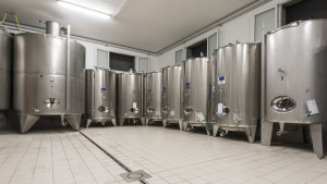 Prosecco-DOCG-Valdobbiadene