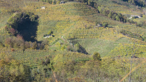 Prosecco-DOCG-Valdobbiadene